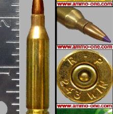 .243 winchester, etronx electric primed, one cartridge not a box .243 winchester, etronx electric primed, one cartridge not a box