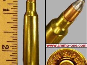 250savagewinsilvertip