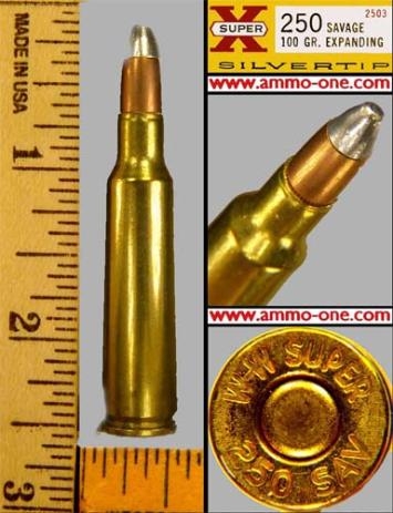 250savagewinsilvertip