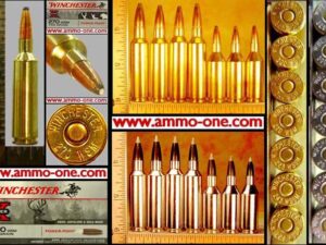 .270 wsm by winchester, "brass case", jsp, one cartridge not a box! .270 wsm by winchester, "brass case", jsp, one cartridge not a box!